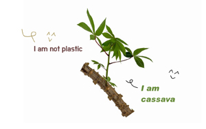 Cassava Bags