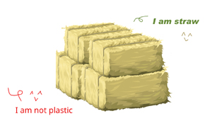 Sugarcane Pulp Containers