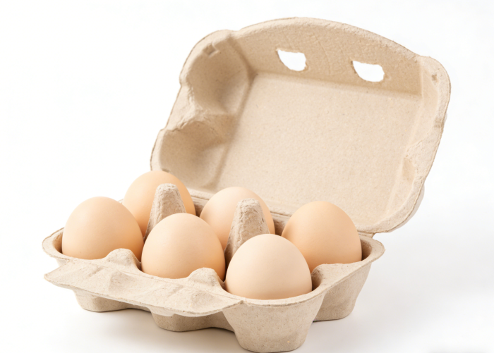 Factory wholesale Egg Cartons Bulk 6 Count, 2 x 3 Style Blank Pulp Egg Holder Reusable, Strong Sturdy Cardboard Egg for Chicken Farm Market.200PCS/Case