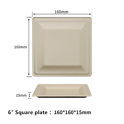 6"  Compostable Fiber Square Plates | No PFAS | 500/Case