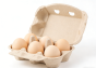 Factory wholesale Egg Cartons Bulk 6 Count, 2 x 3 Style Blank Pulp Egg Holder Reusable, Strong Sturdy Cardboard Egg for Chicken Farm Market.200PCS/Case
