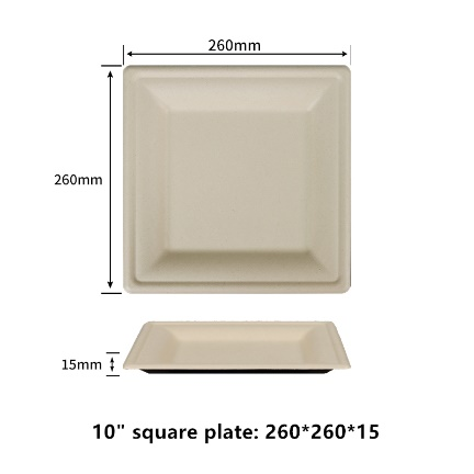 10"  Compostable Fiber Square Plates | No PFAS | 500/Case