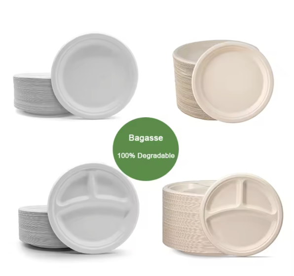 Compostable Plates & Disposable Tableware Collection