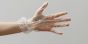 Compostable Food Service Gloves | Various Sizes | 800/Case