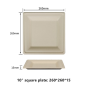 10"  Compostable Fiber Square Plates | No PFAS | 500/Case