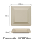 8"  Compostable Fiber Square Plates | No PFAS | 500/Case